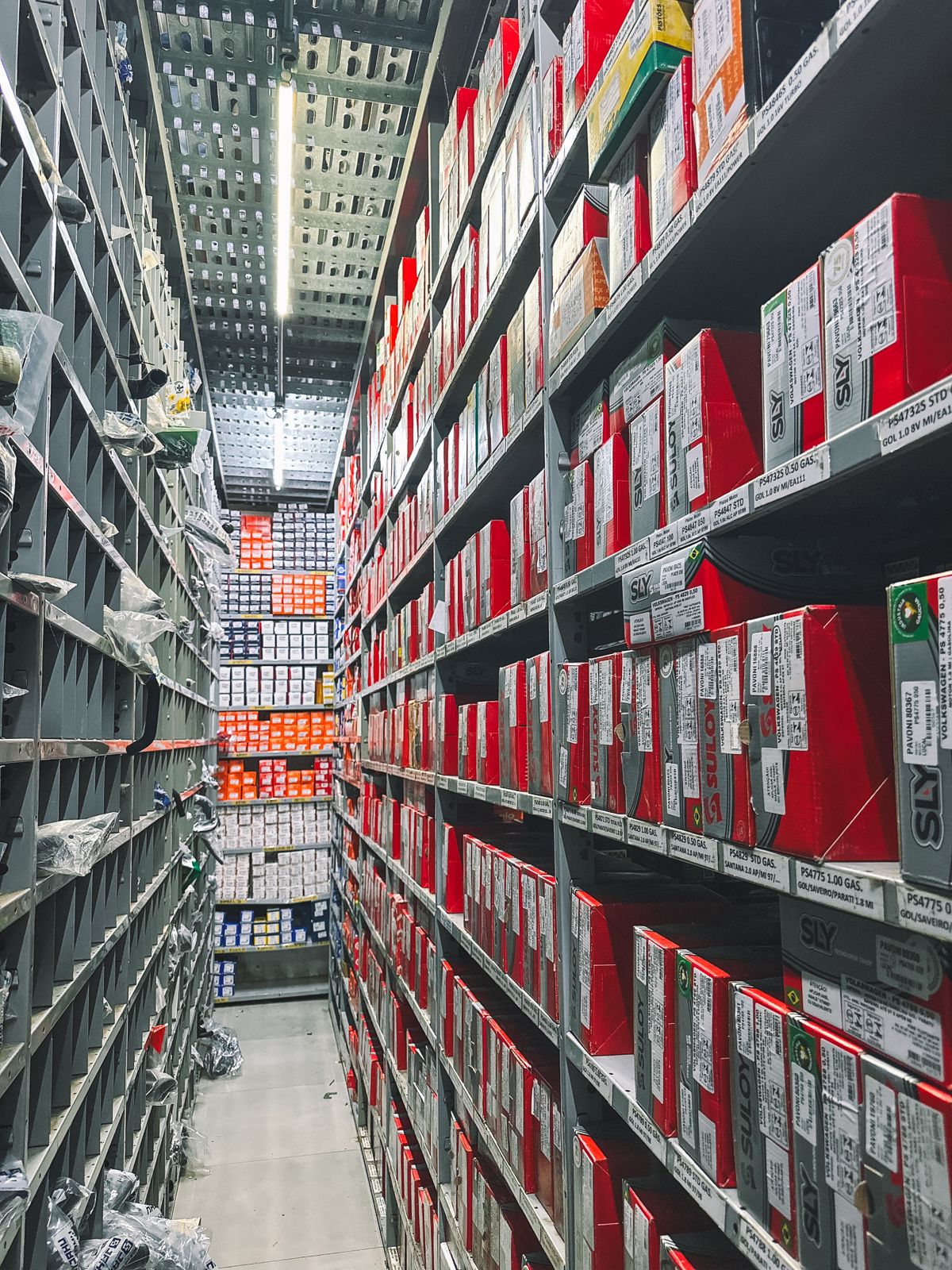 WhatsApp Image 2026-01-26 at 10.12.05 (1)