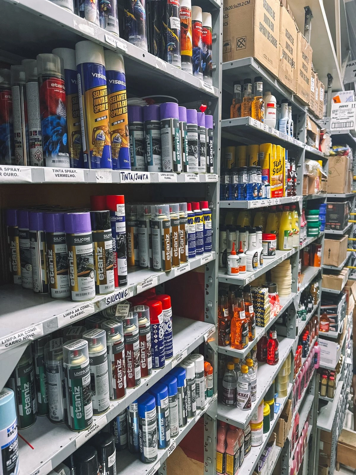 WhatsApp Image 2026-01-26 at 10.12.05 (2)