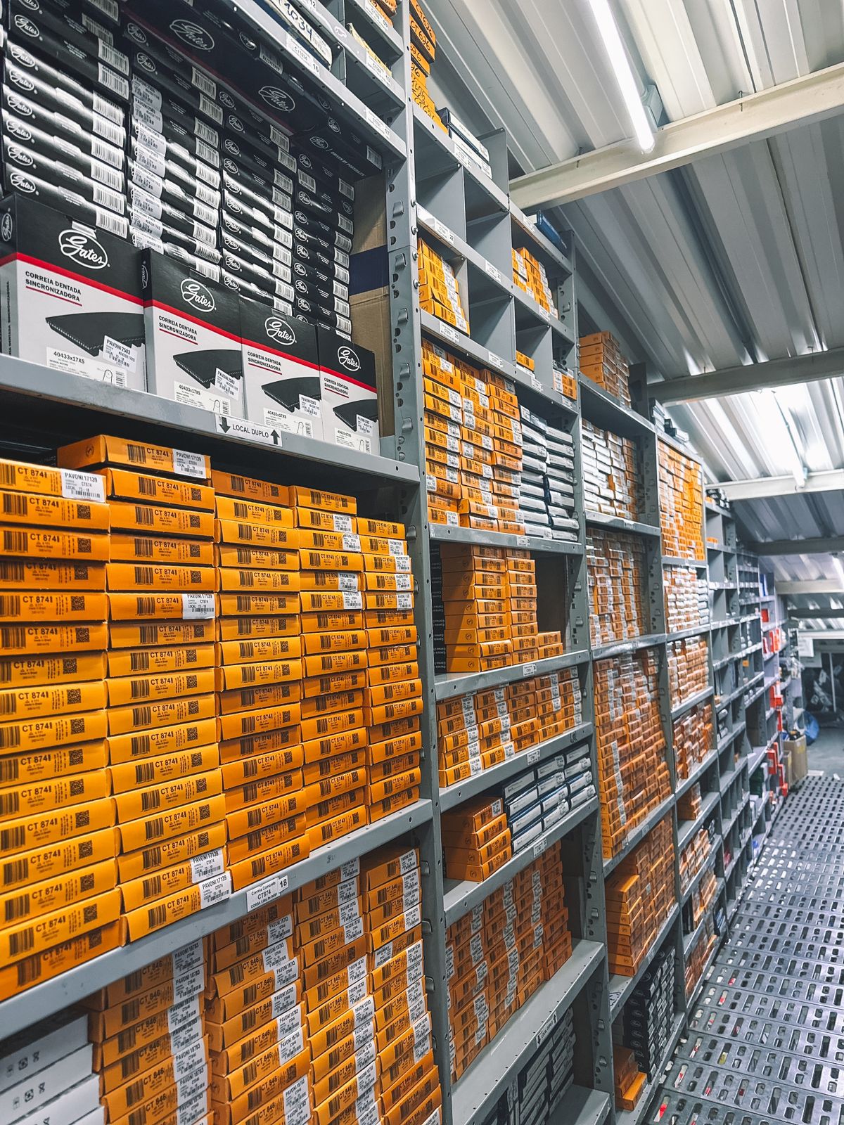 WhatsApp Image 2026-01-26 at 10.12.05